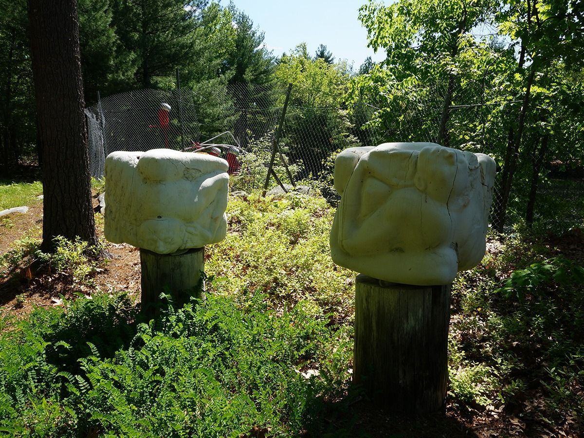 Two abstract white sculptures on wooden stumps in a sunny forest. A zebra statue is visible in the background.