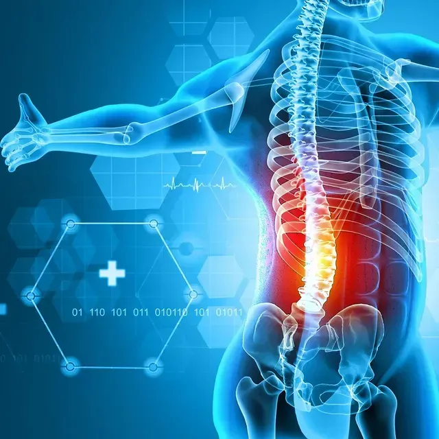 Medical illustration of a human spine with red-highlighted lower back pain and blue body overlay
