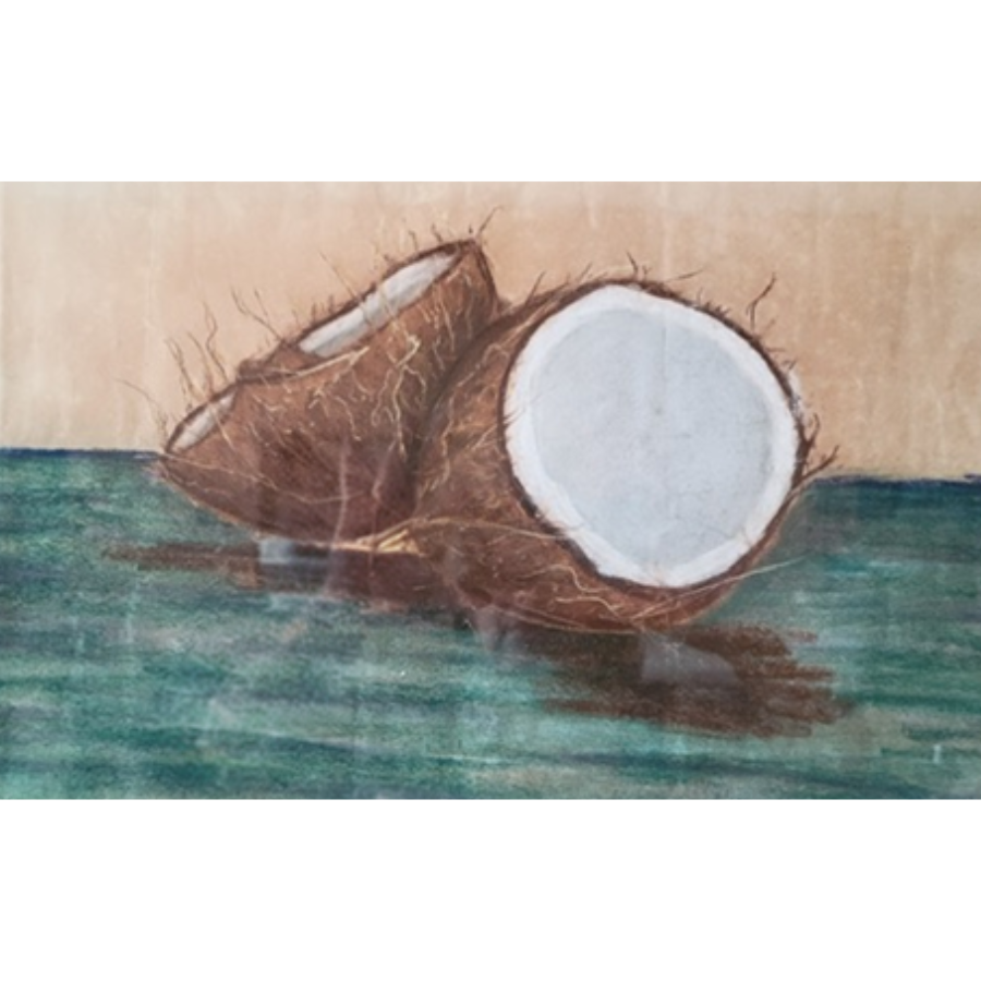 A photo two coconuts, painted by an art student,