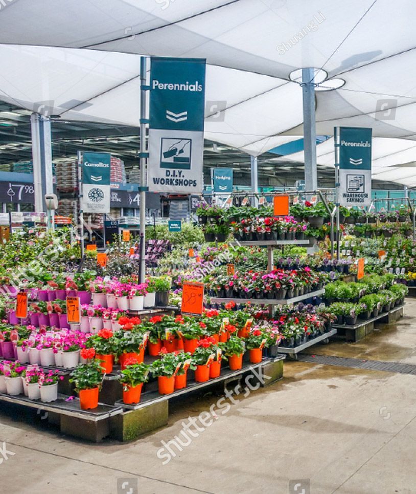 A garden center filled with lots of potted plants