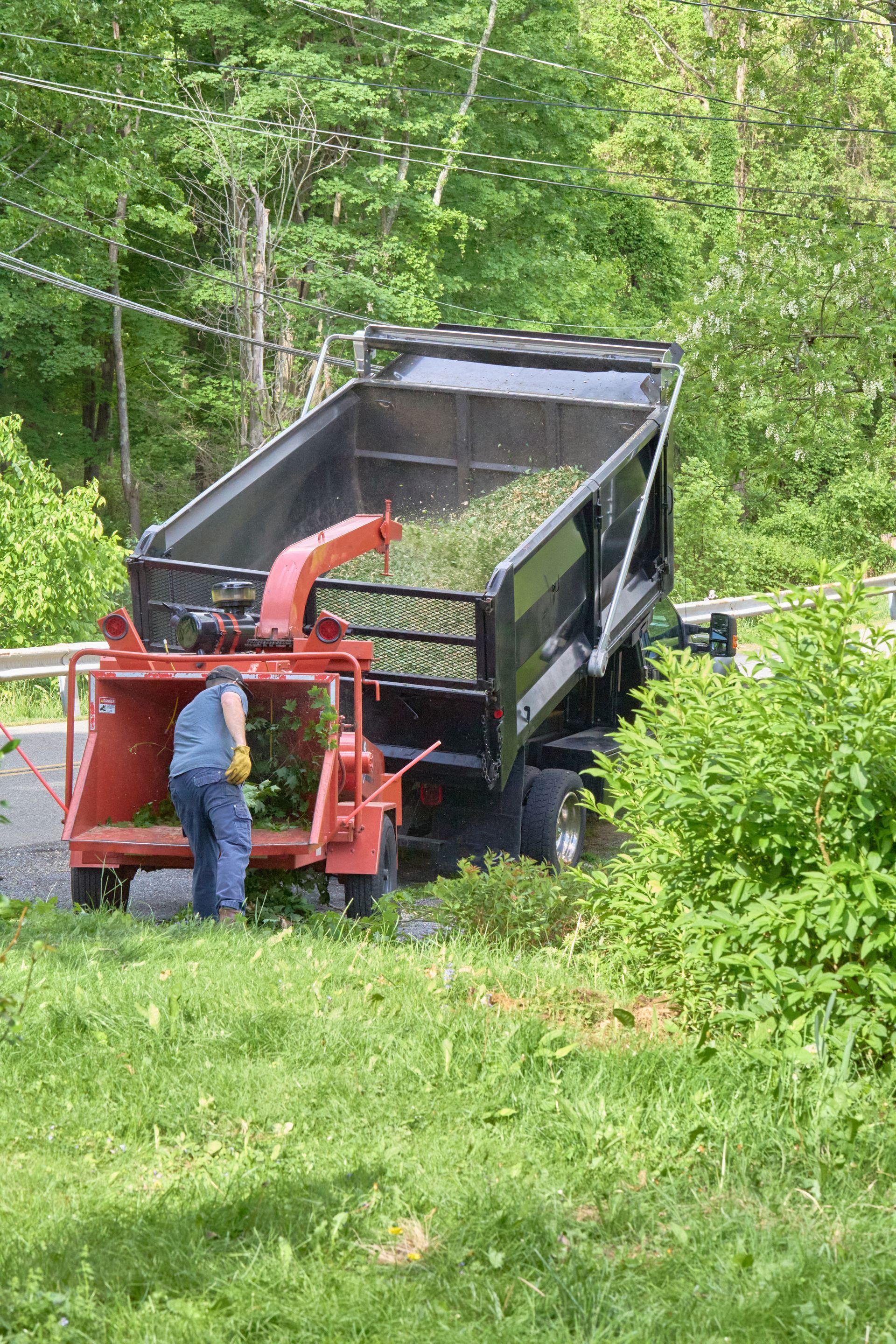 Worker beside red dump truck on a grassy roadside, unloading black material in a wooded area