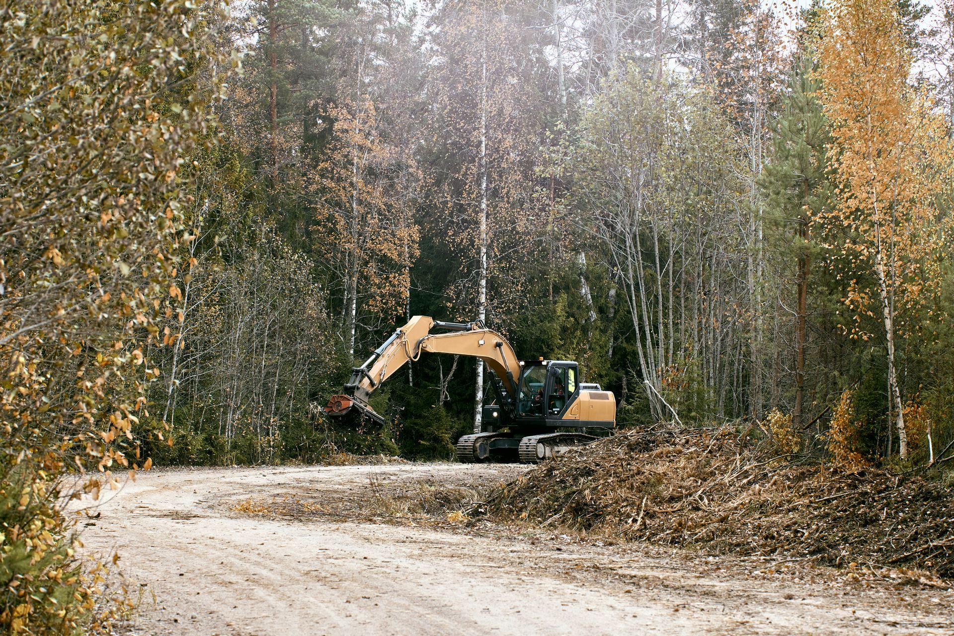 Excavator clearing brush beside a dirt road in a forest in autumn.