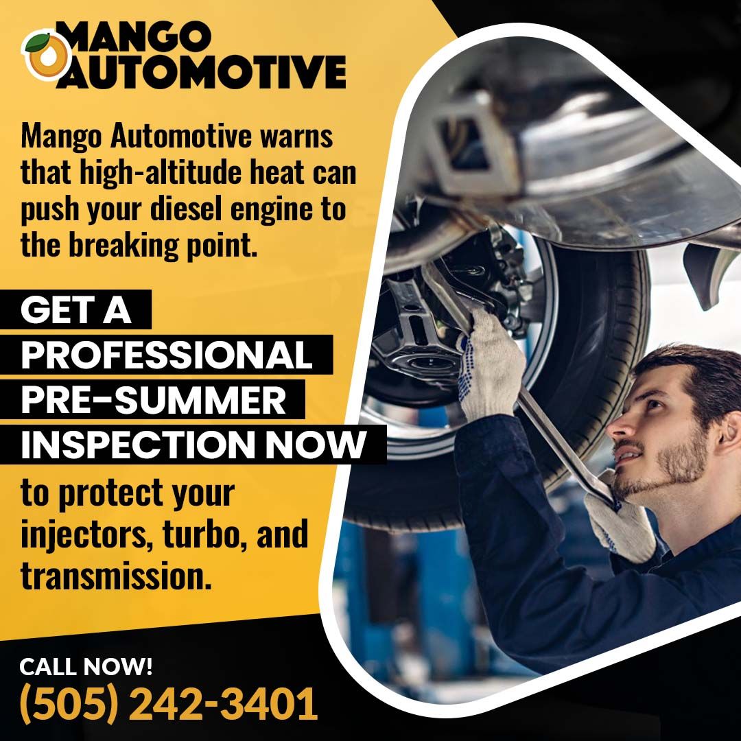 pre-summer inspection Mango Automotive