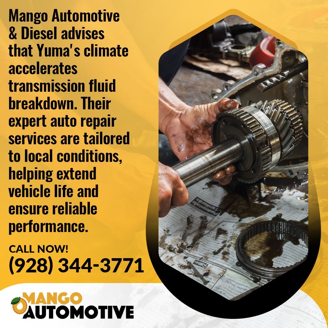 Auto Repair