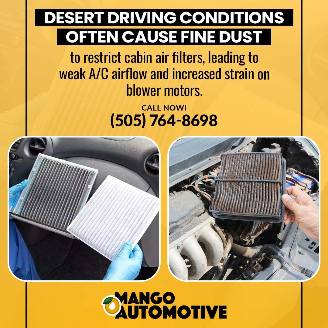 Desert driving conditions- Mango Automotive (Downtown)