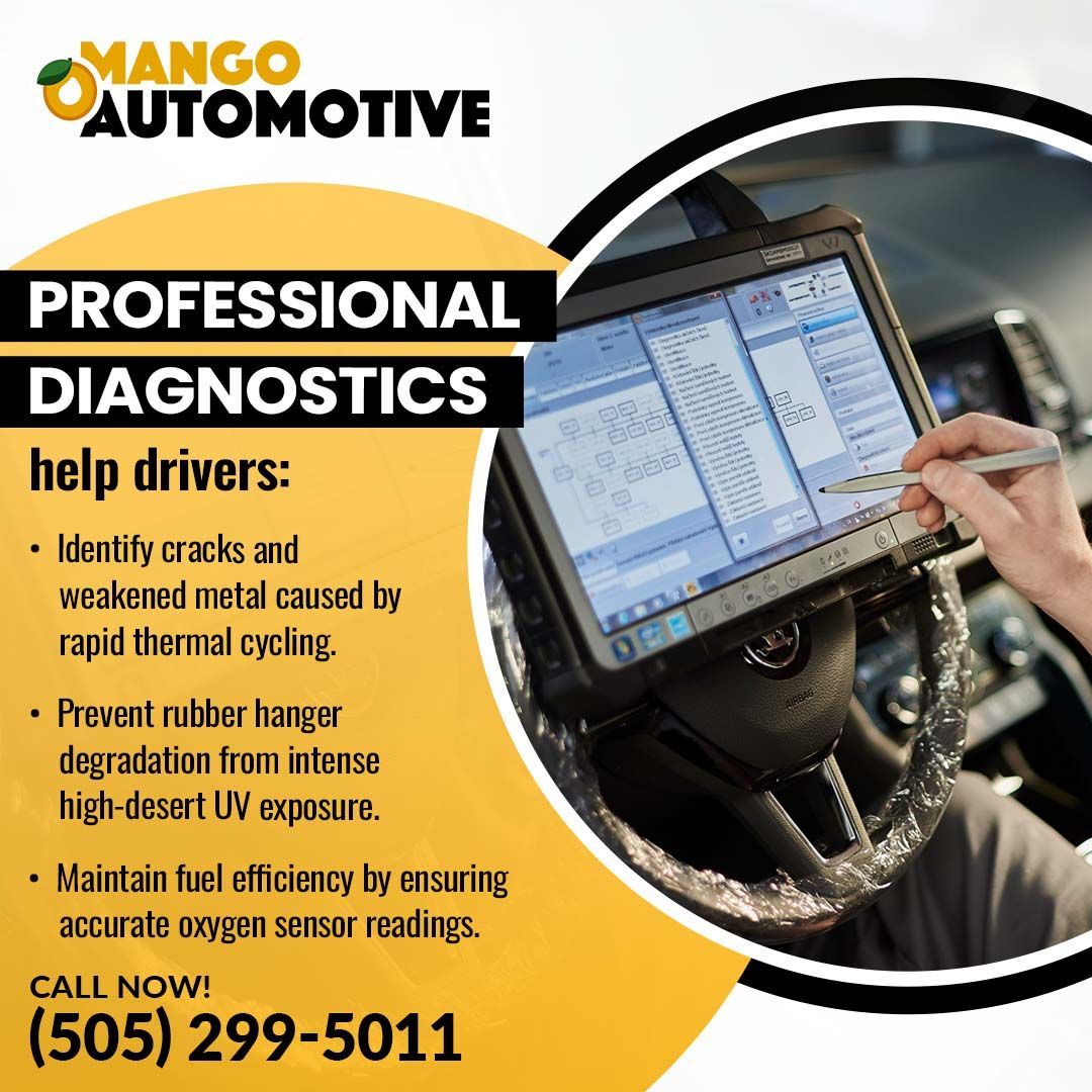 professional exhaust diagnostics and repair