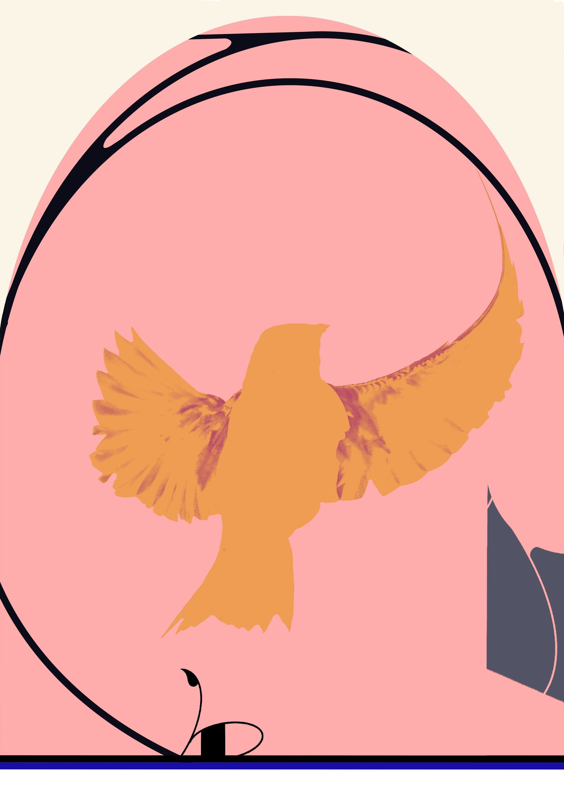 Orange bird with spread wings inside pink arch, black line art, on pale background. Purple Martin Hotel