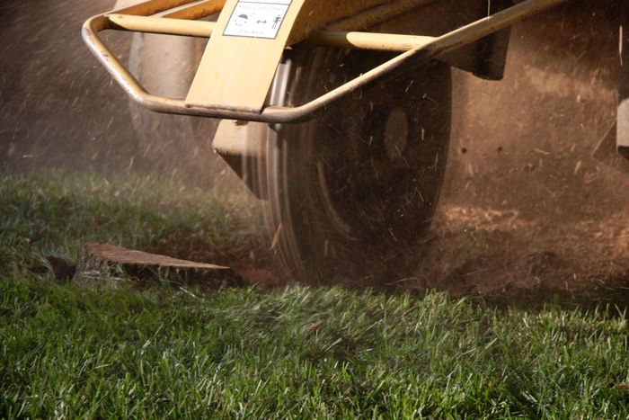 Stump Grinding — Calico Rock, AR — Affordable Stump & Lawn