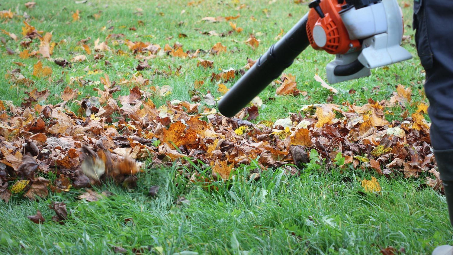 Cleaning Fallen Leaves — Calico Rock, AR — Affordable Stump & Lawn