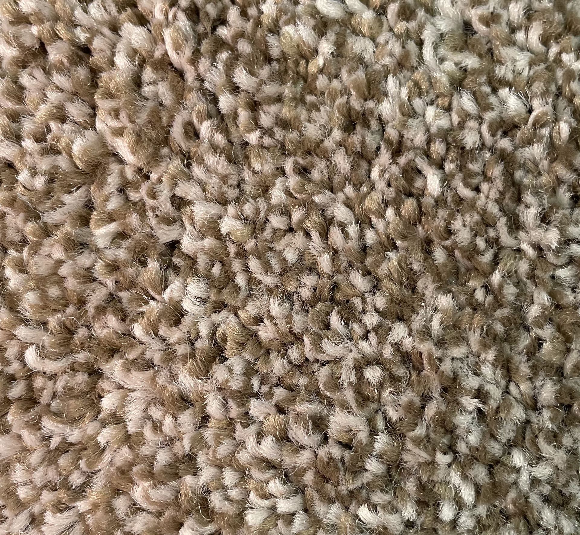 Shaw Carpet 