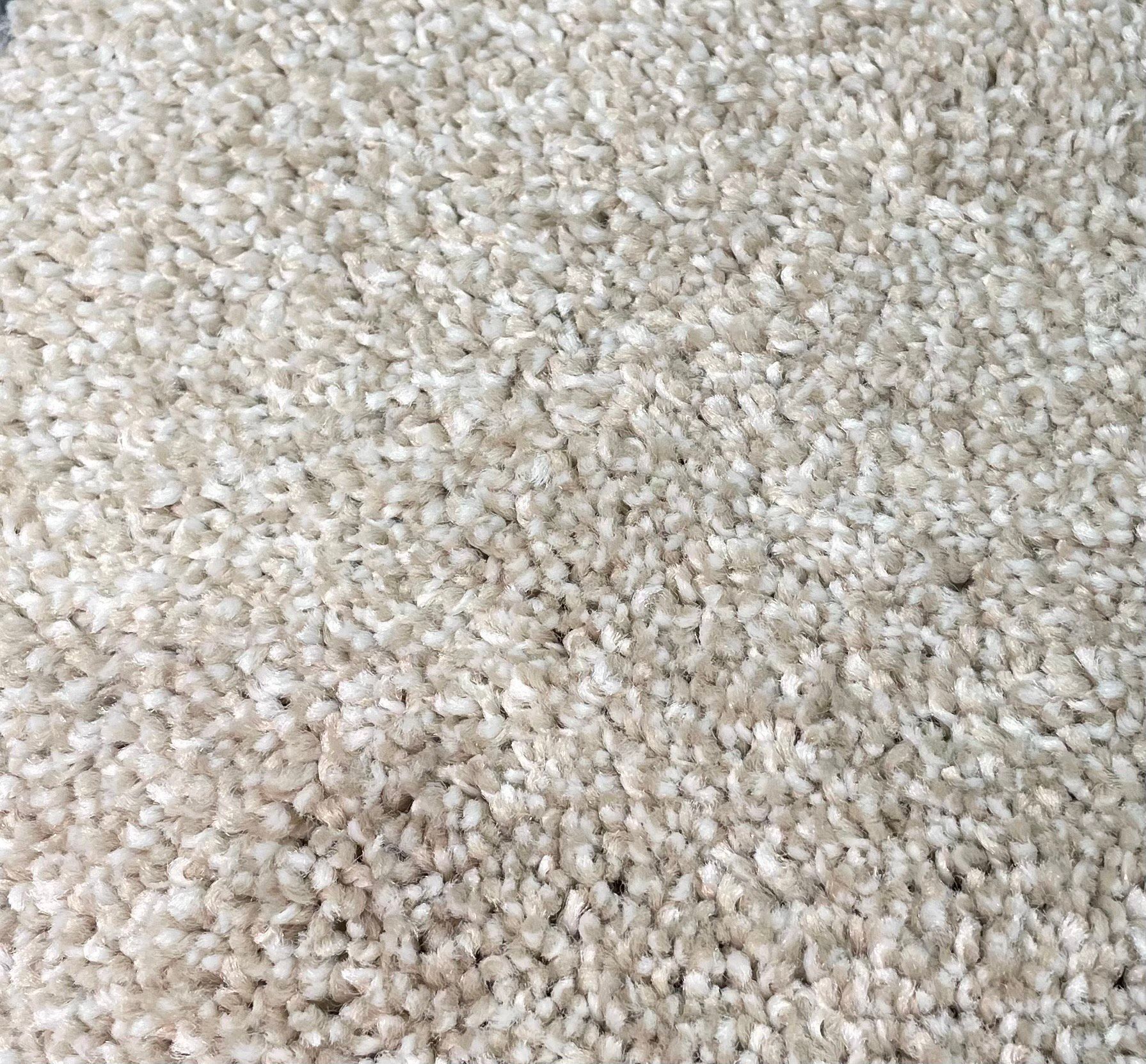 Shaw Carpet 