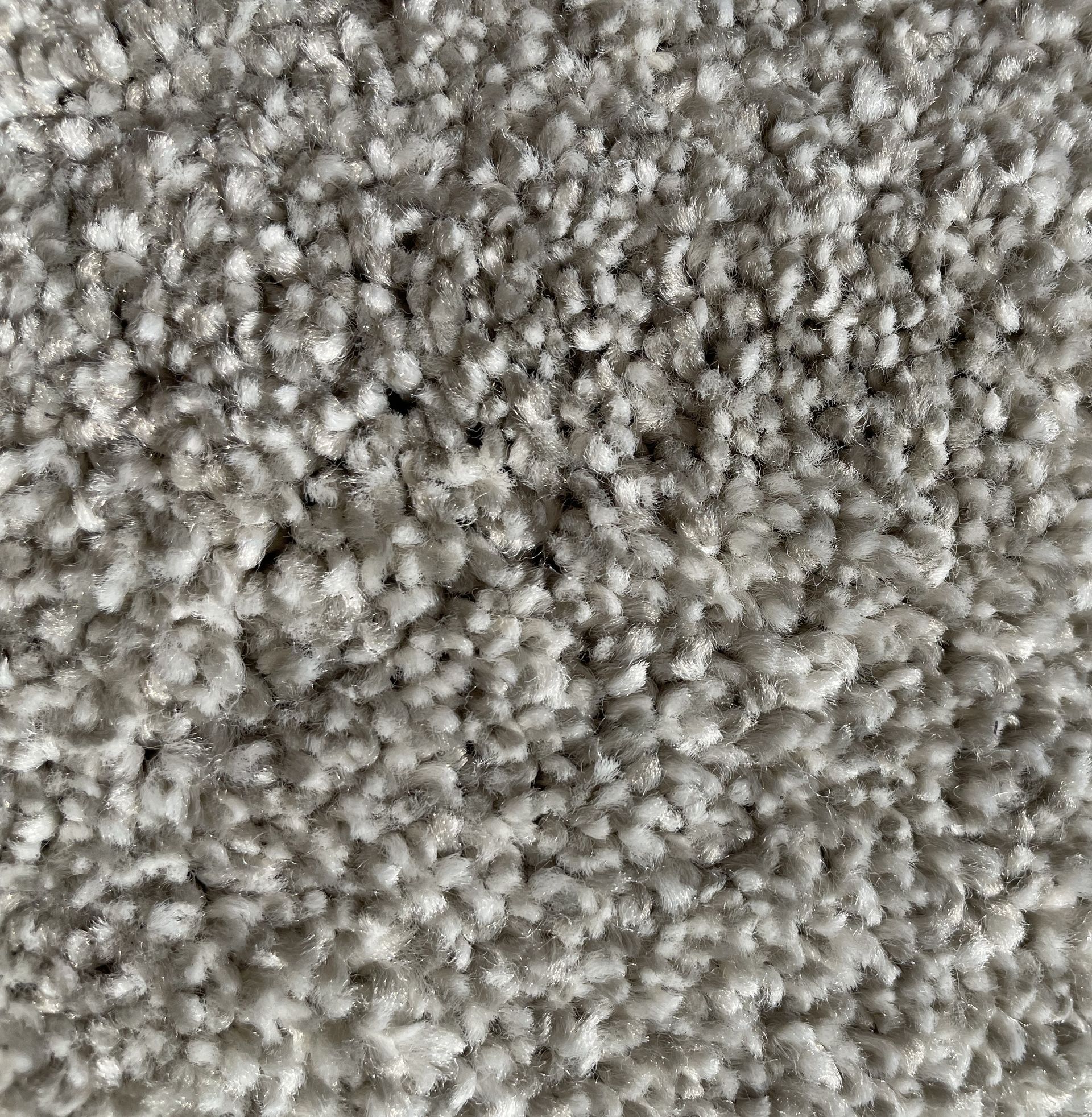 Shaw Carpet 