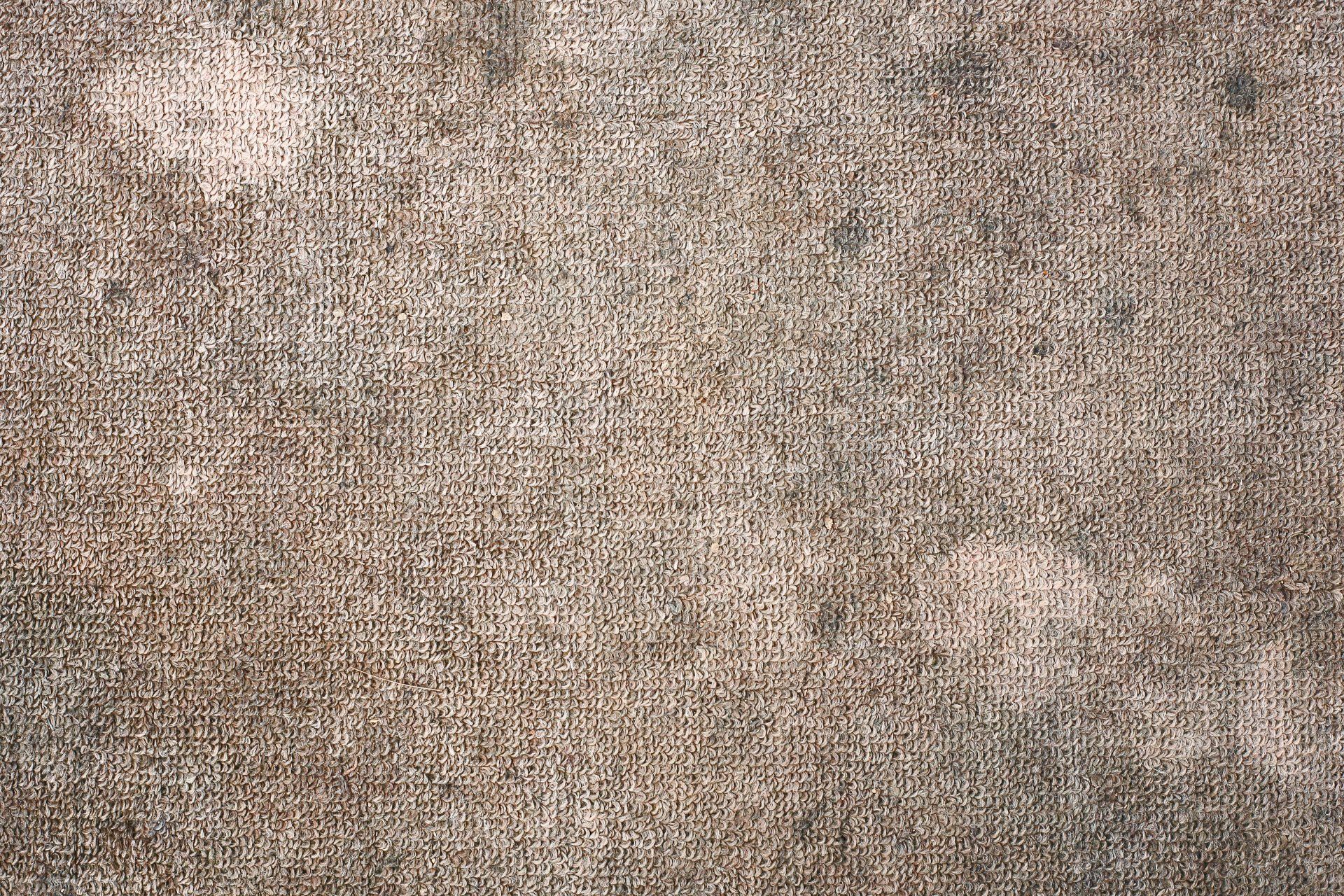 A close up of a carpet texture with a few white spots on it.