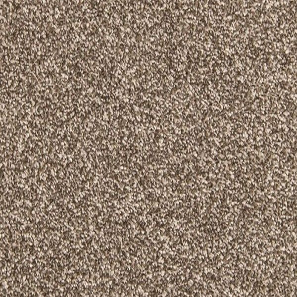 A close up of a brown carpet texture.