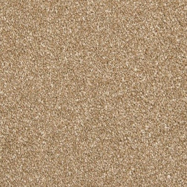 A close up of a brown carpet texture.
