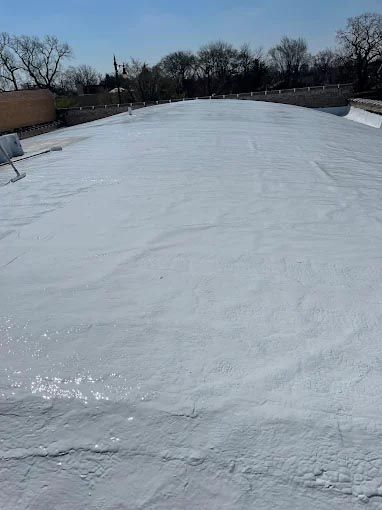 A large white ice rink with trees in the background on a sunny day.