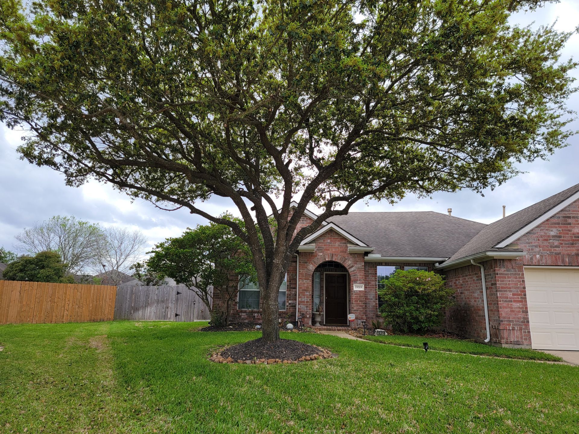 Tree Trimming - Before and After | Texas Tree Care