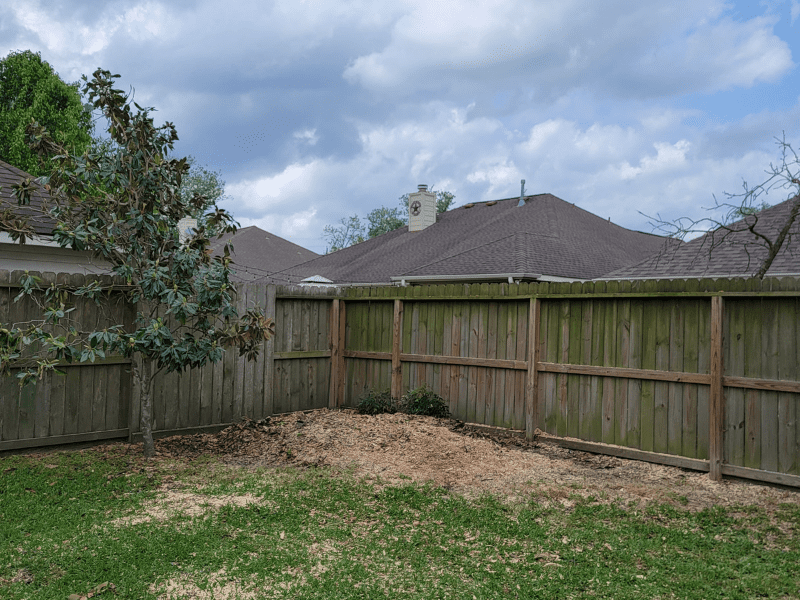 After tree removal service of an oak tree | Texas Tree Care in Spring, TX