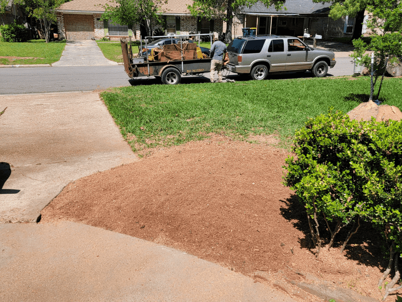 Huge oak tree stump after stump grinding service by Texas Tree Care - 3-25-23