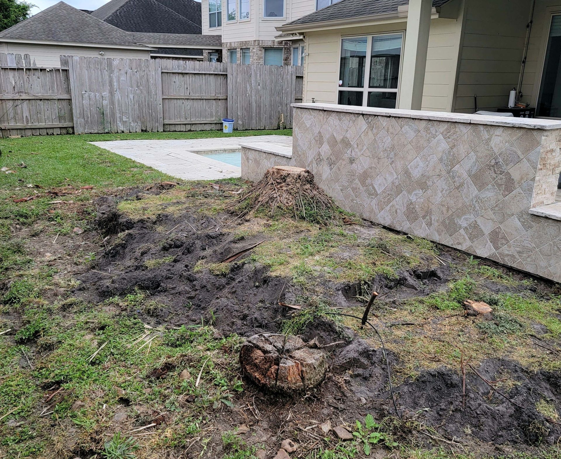 Before stump grinding in Spring, TX by Texas Tree Care