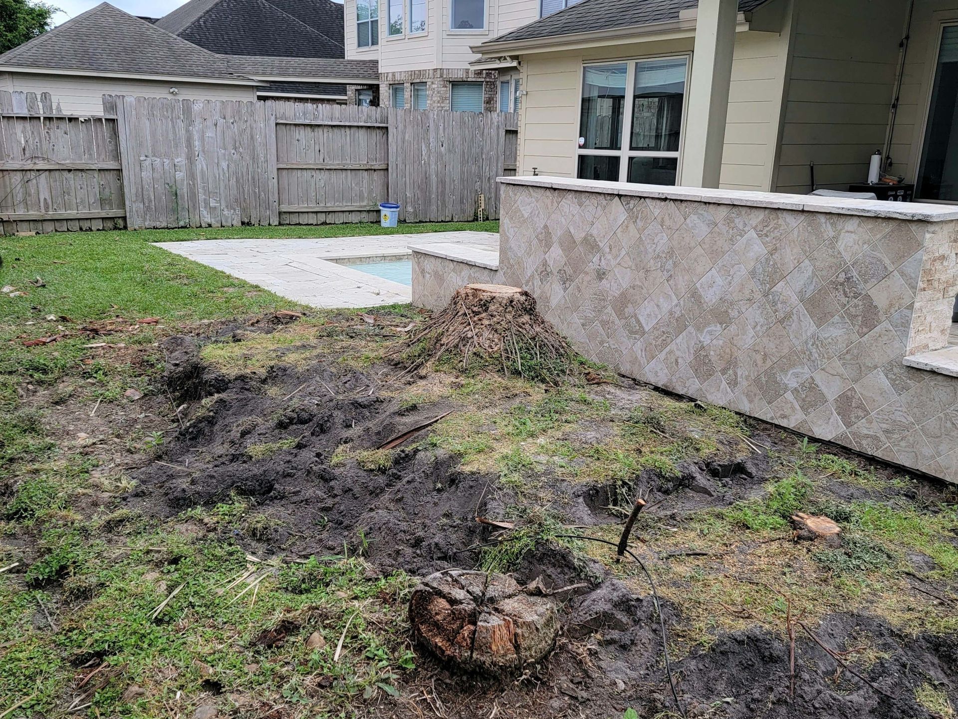 Stump Grinding Spring TX - Before Picture | Texas Tree Care