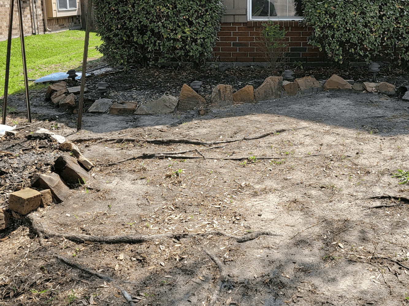 Deep root fertilization service and deep root feeding oak trees root system | Texas Tree Care