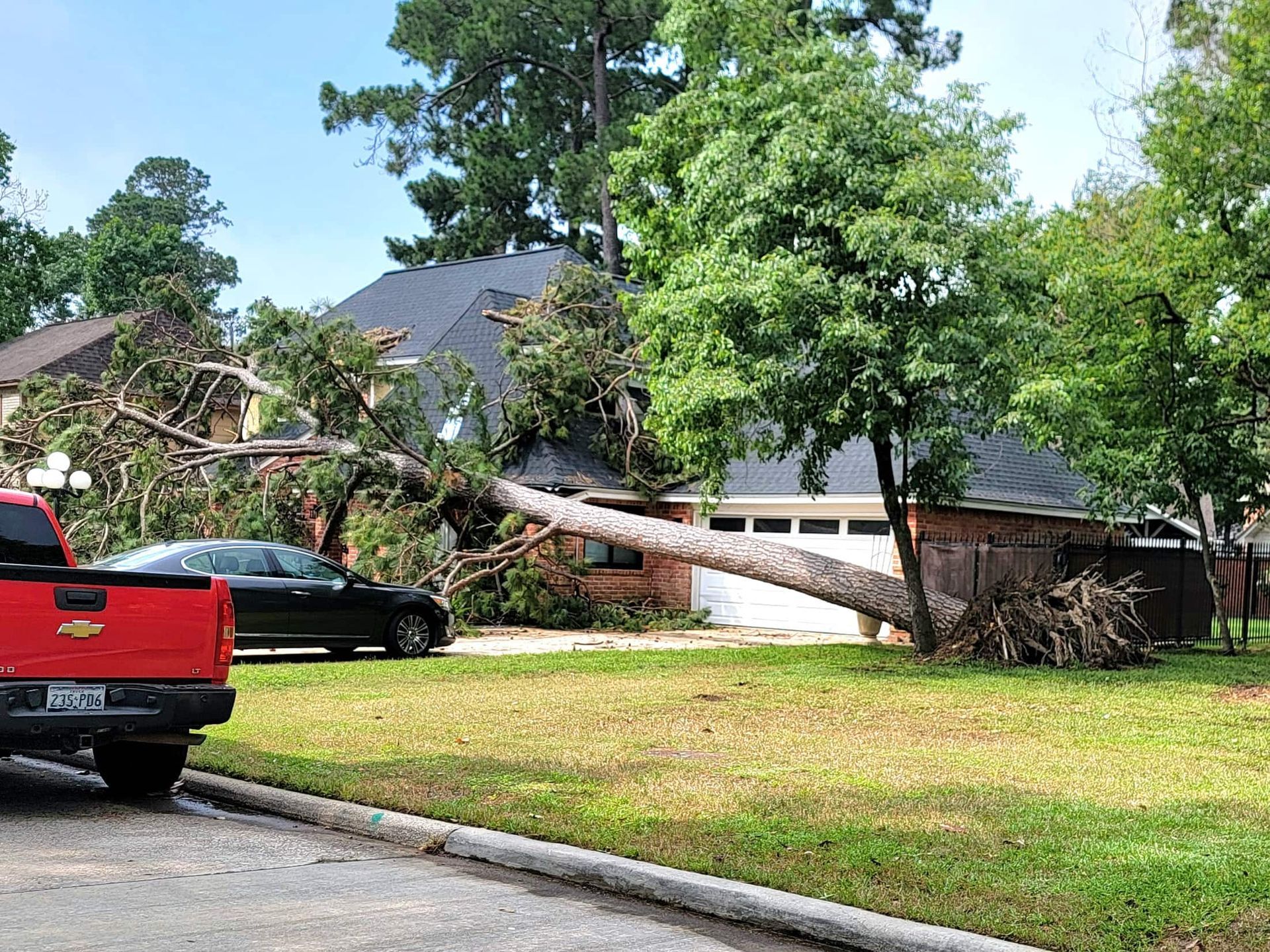 Fall Tree Removal | Tree Removal Houston