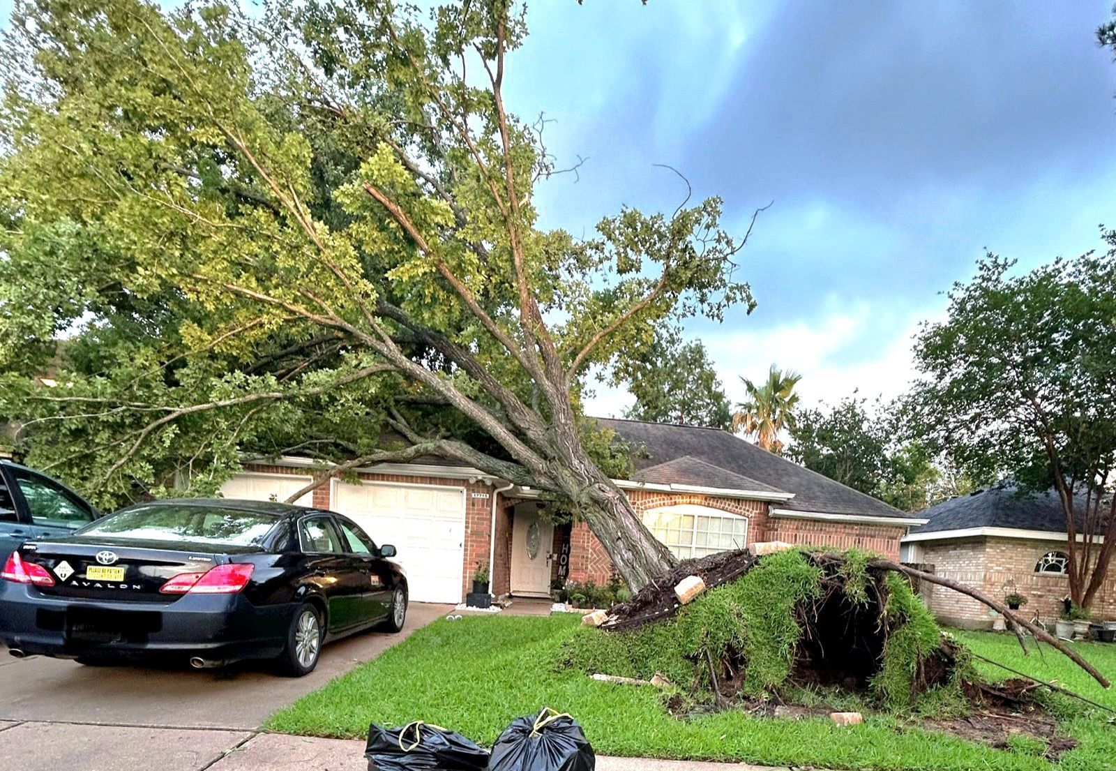 Tree Trimming Houston | Hurricane Season Preparedness