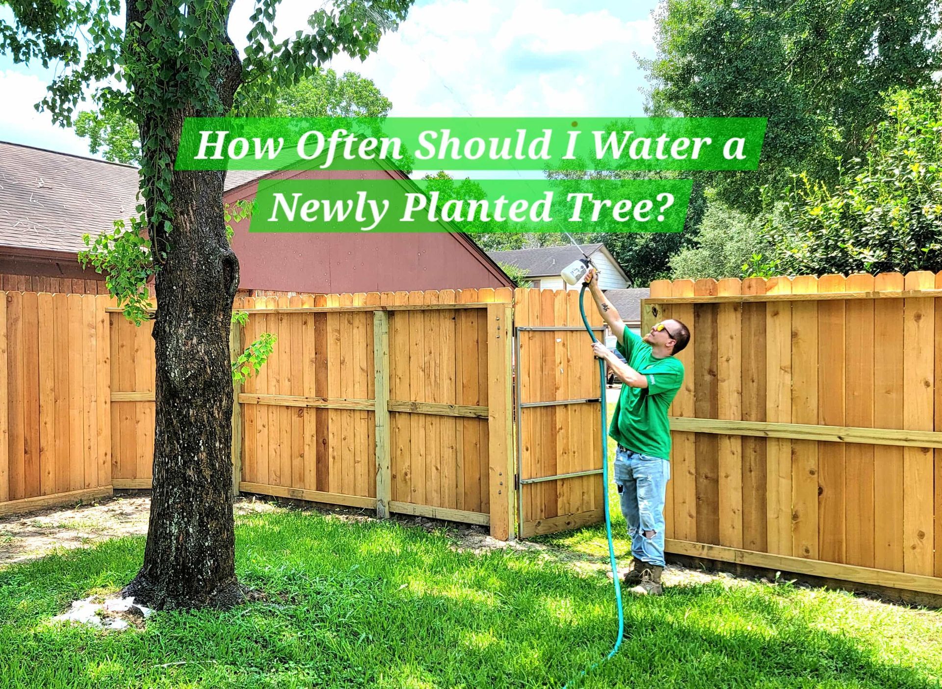 How Often Should I Water A Newly Planted Tree? | Texas Tree Care