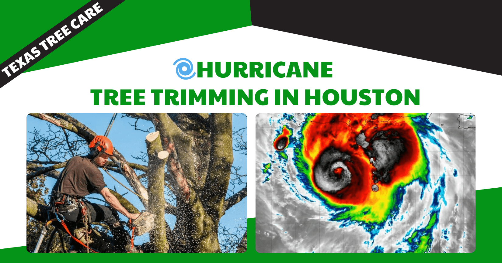 Tree Trimming Houston | Hurricane Season Preparedness