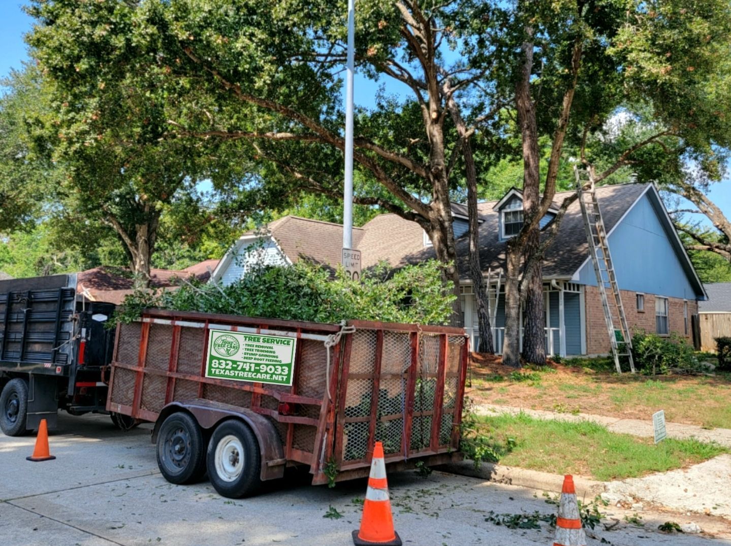 Professional Tree Service in Spring, TX by Texas Tree Care