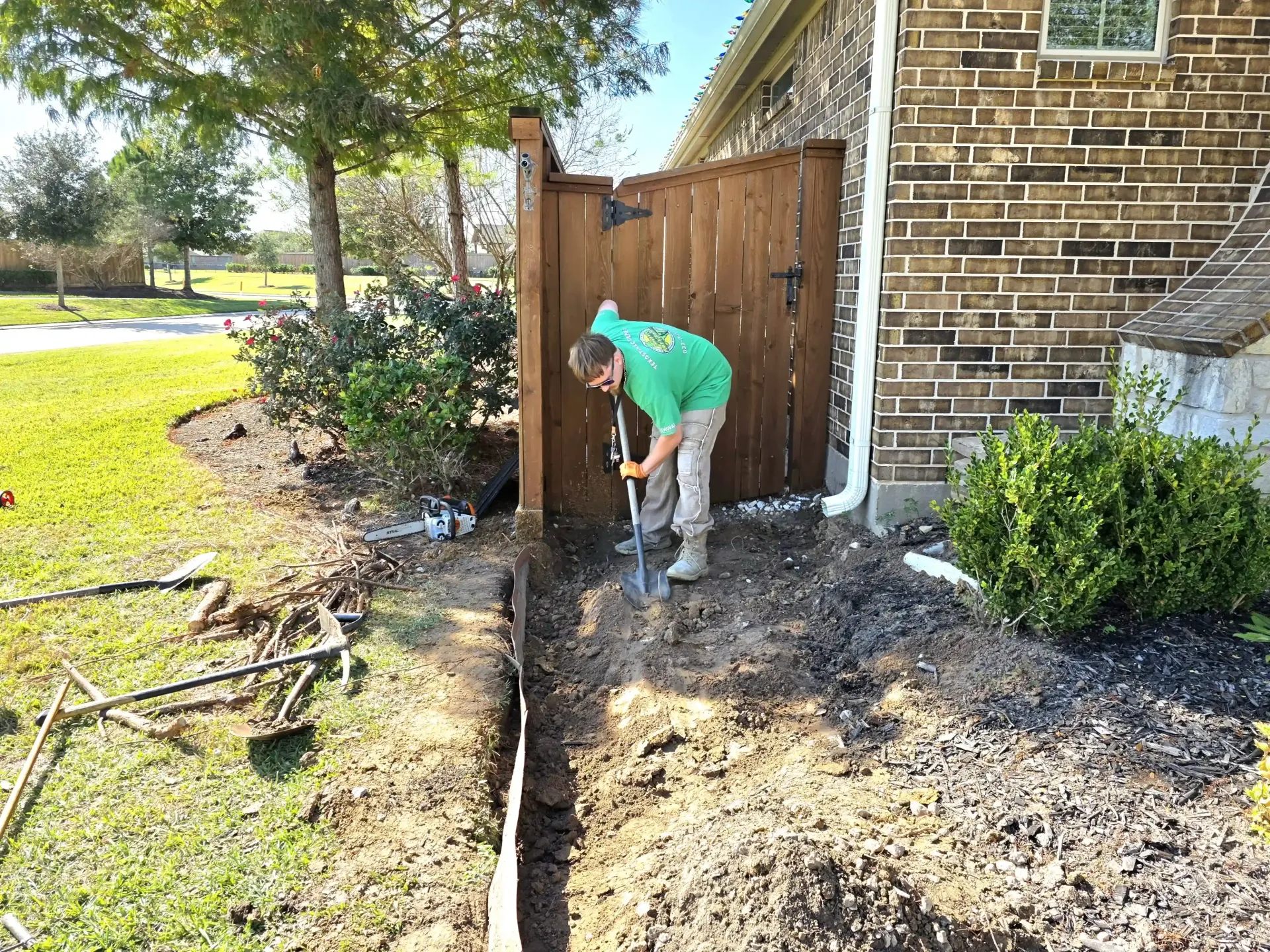 Root Barrier Installation Houston | Texas Tree Care