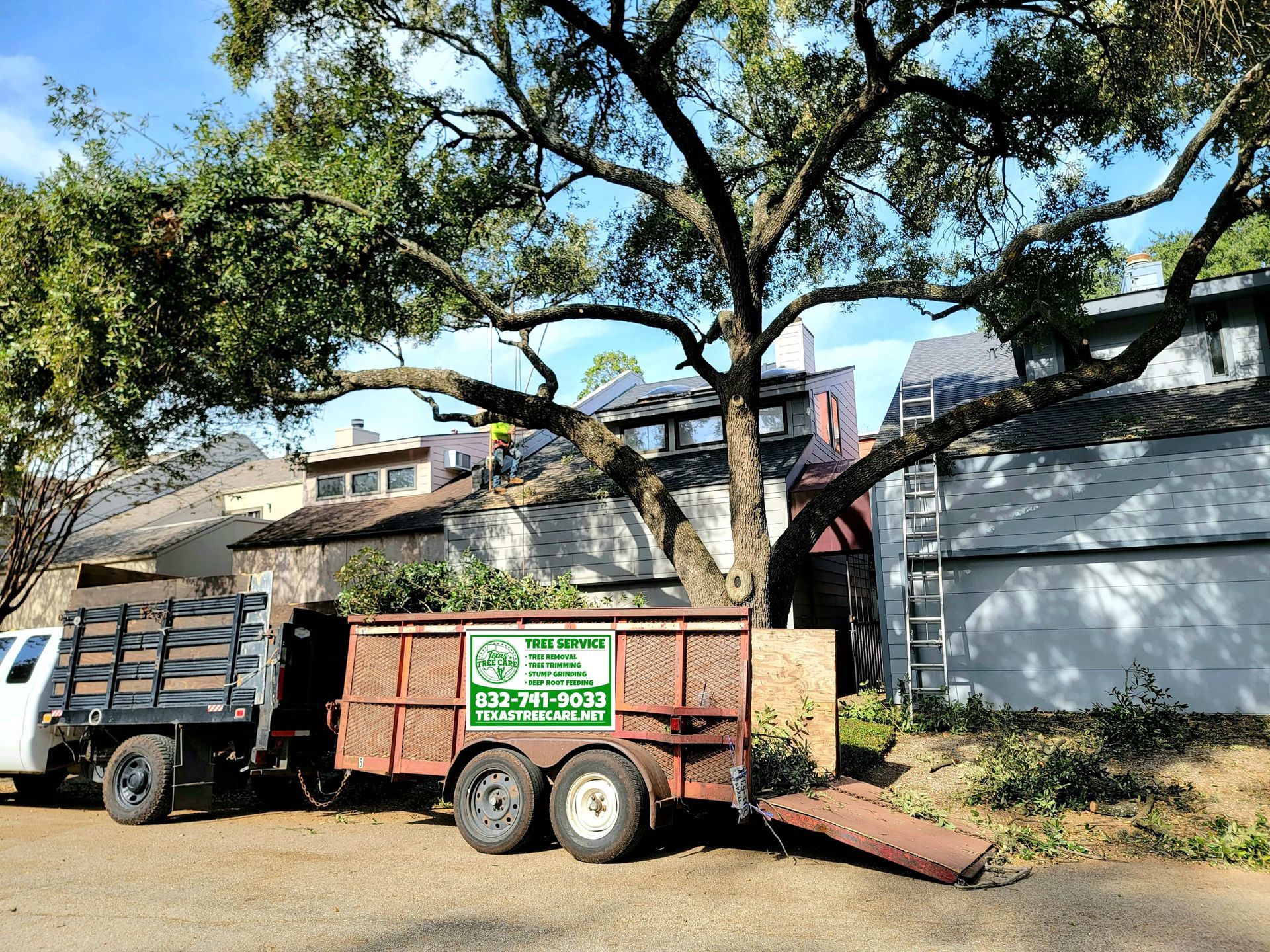 Spring Tree Service | Tree Trimming | Texas Tree Care