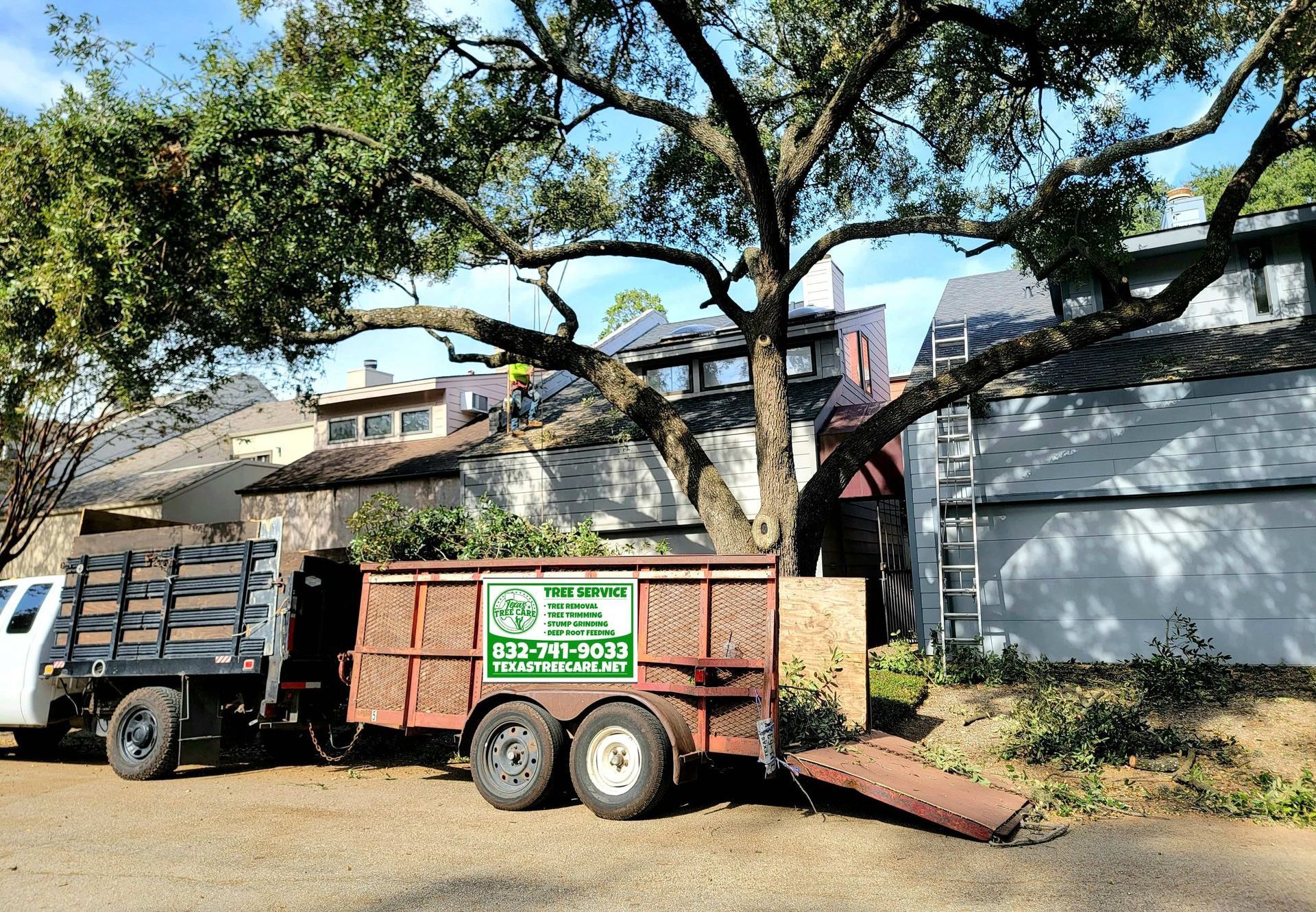 Spring Tree Service | Tree Trimming | Texas Tree Care