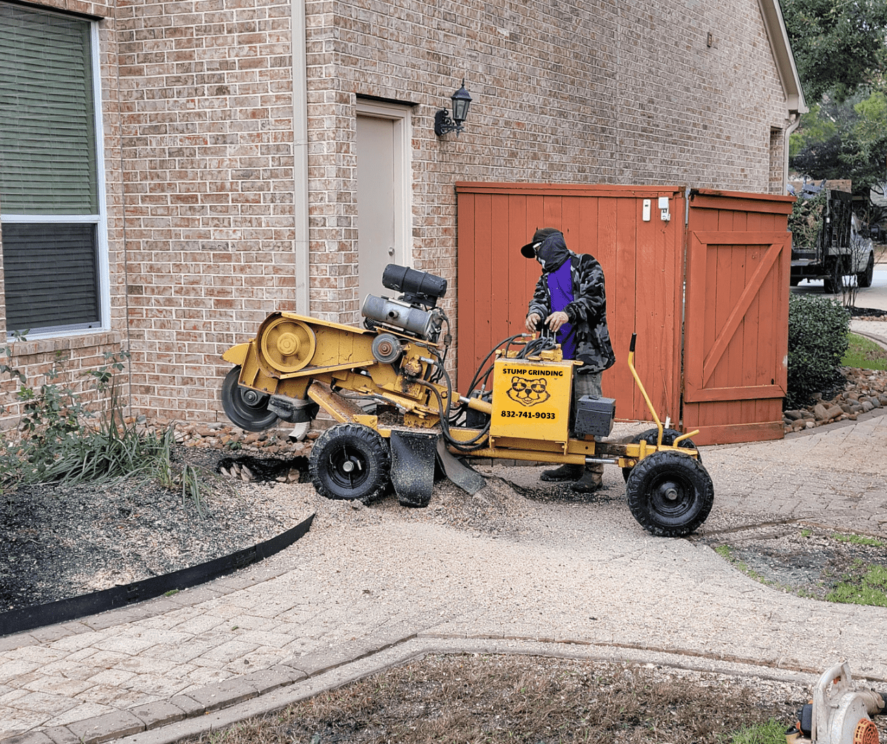 Stump Service Spring TX | Texas Tree Care
