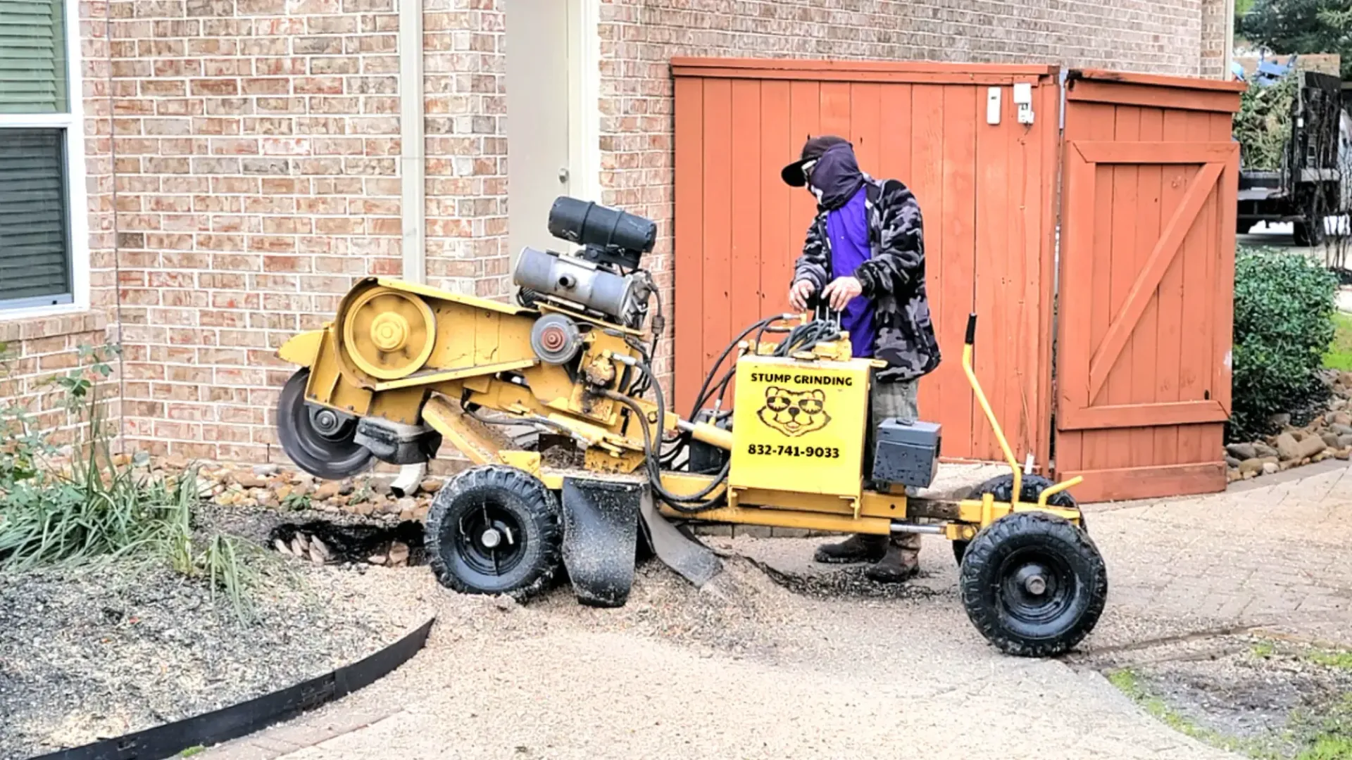 Stump Grinding Service in Spring TX | Texas Tree Care