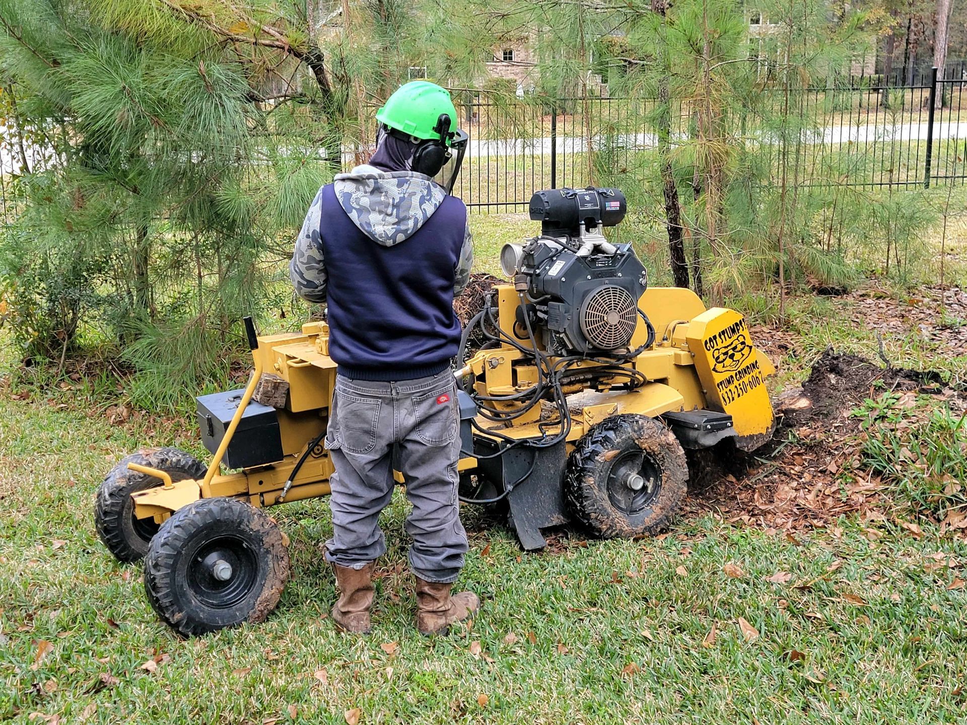 Stump Grinding Spring TX | Texas Tree Care