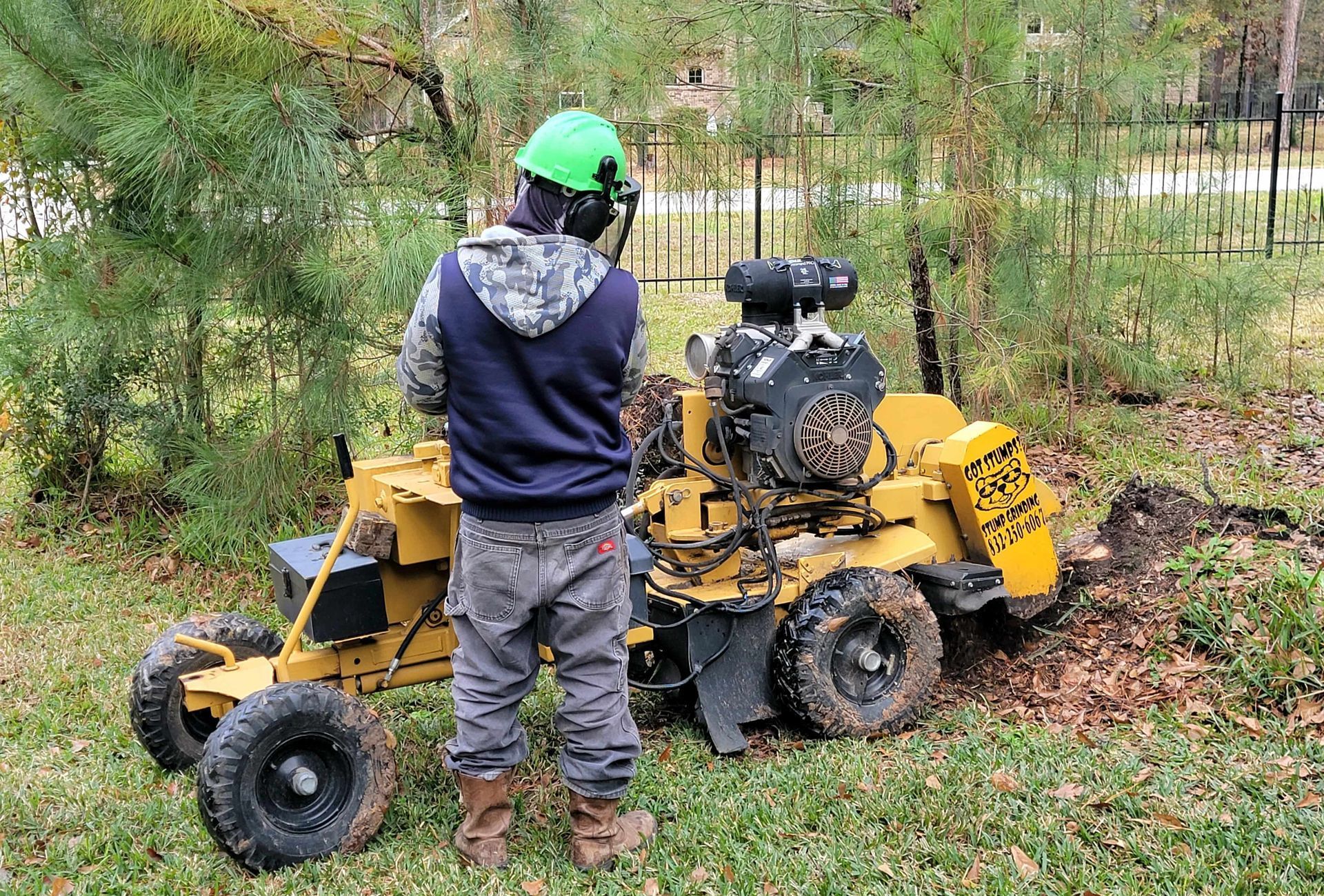 Stump Grinding Spring TX | Texas Tree Care