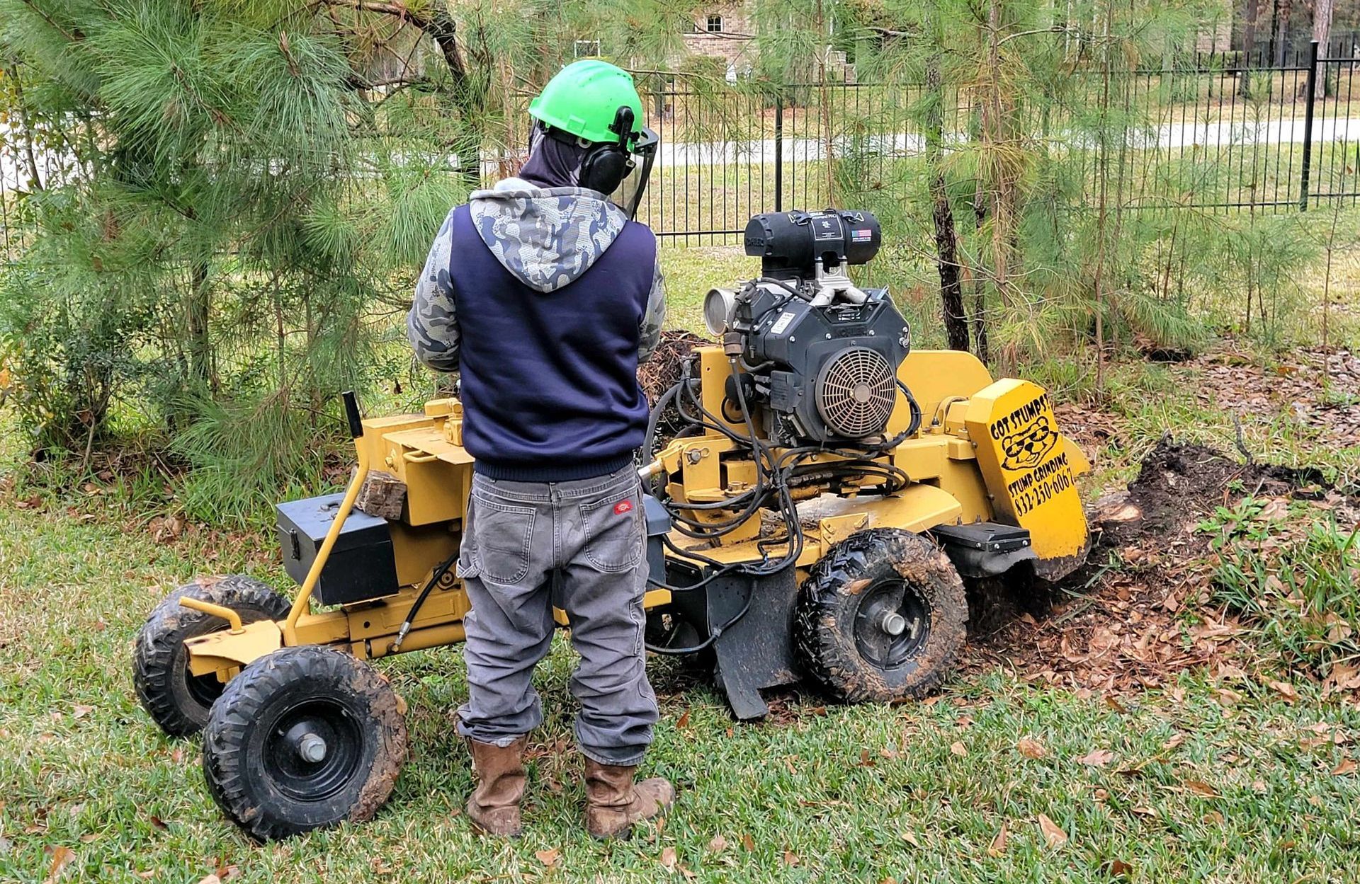 Stump Grinding Spring TX | Texas Tree Care