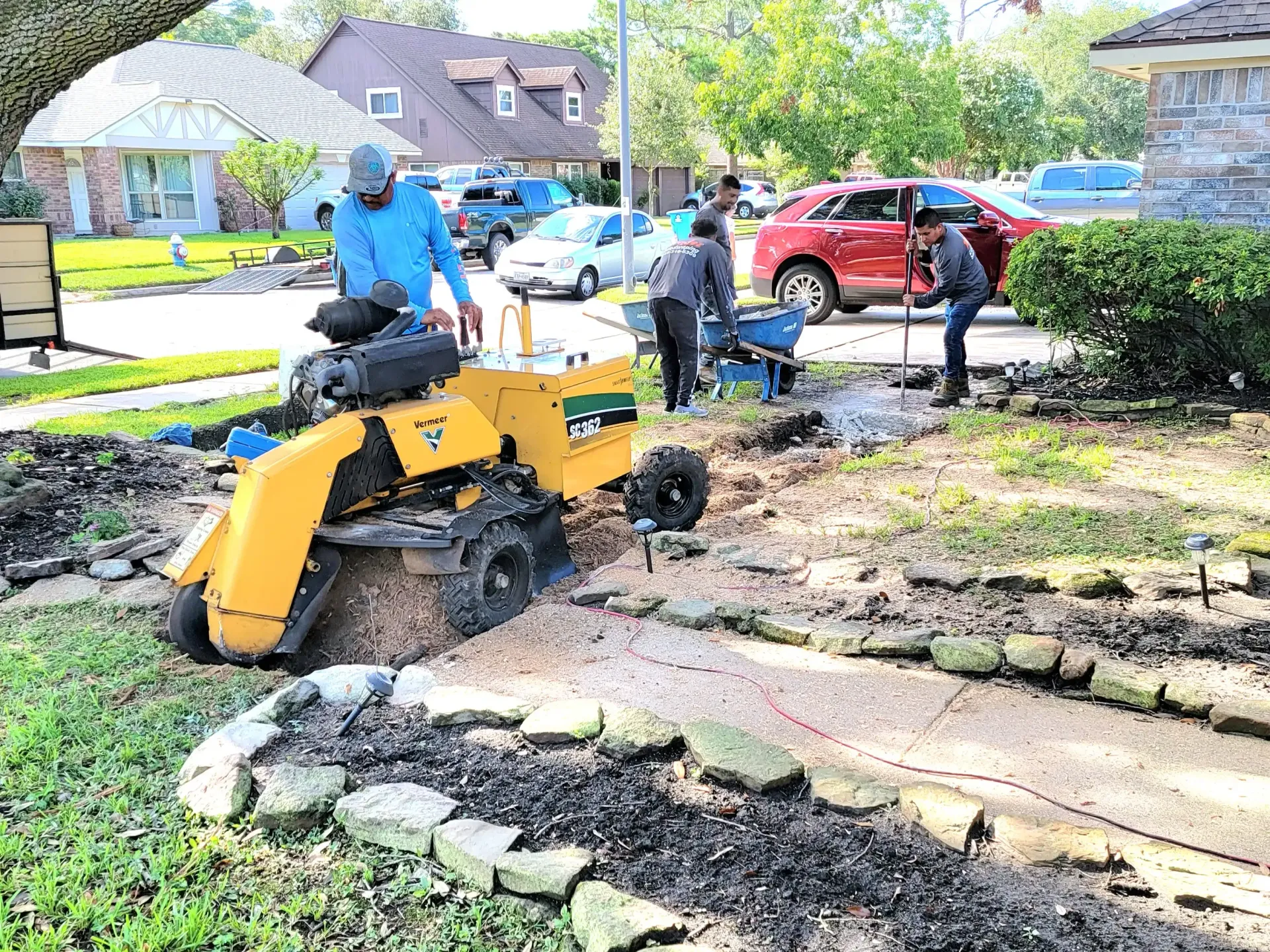 Stump Grinding Service in Spring TX - Texas Tree Care