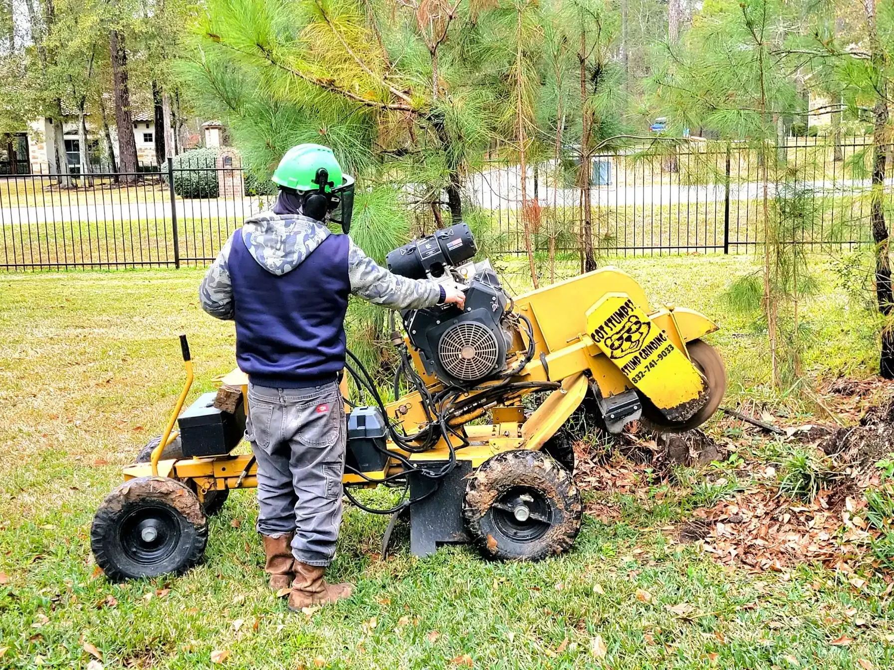 Stump Grinding Tomball TX | Texas Tree Care