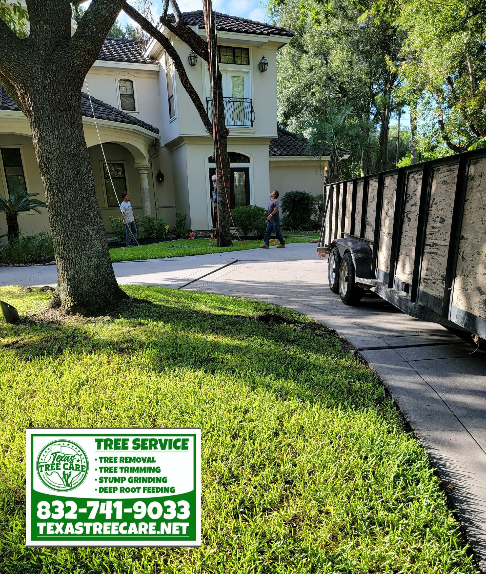 Texas Tree Care in Spring, TX | About Us