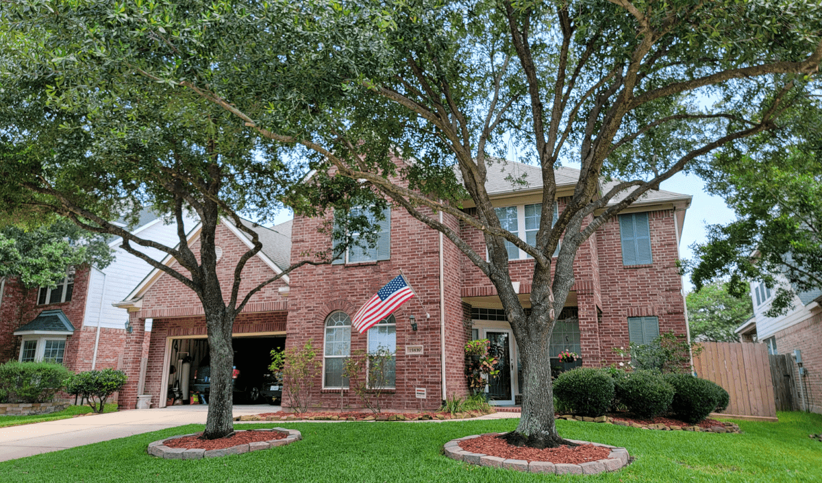 Tree Service in Houston, The Woodlands, Tomball Service Areas