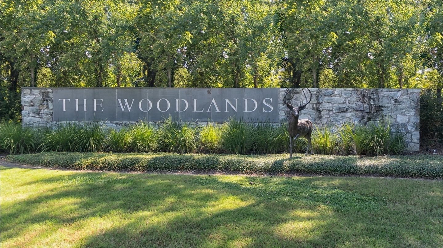 Tree Service The Woodlands, TX | Texas Tree Care