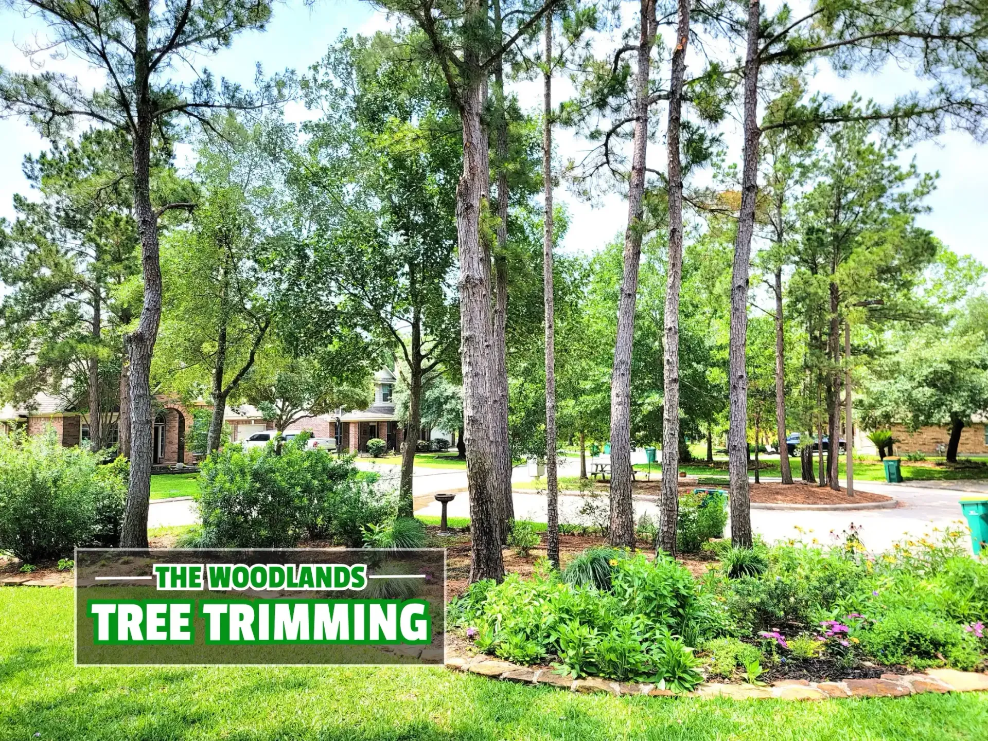 The Woodlands Tree Trimming | Texas Tree Care