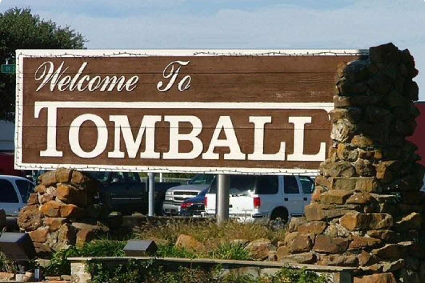 Tomball Tree Service | Texas Tree Care