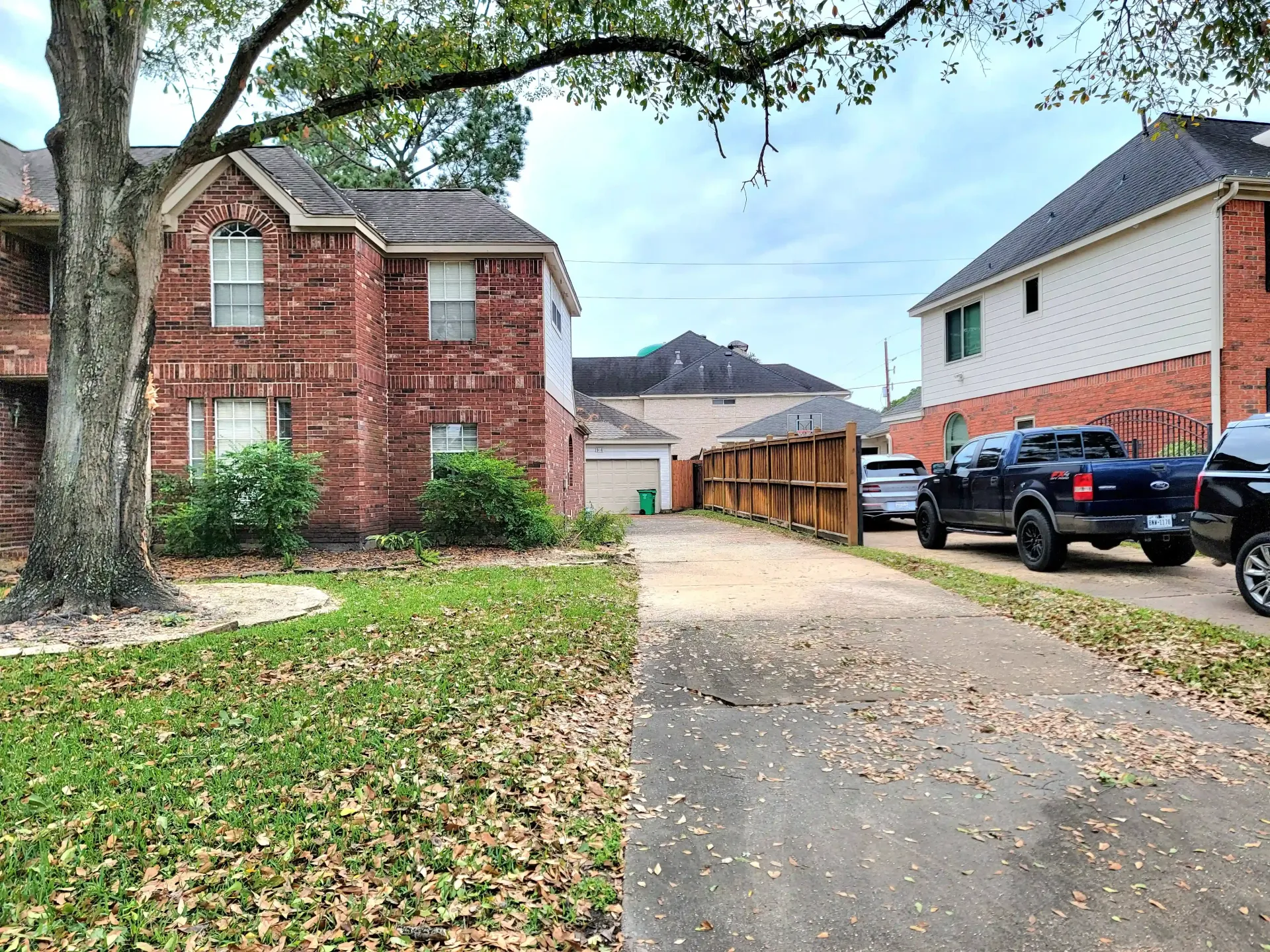 Fallen Tree Limb Removal - Spring Tree Service