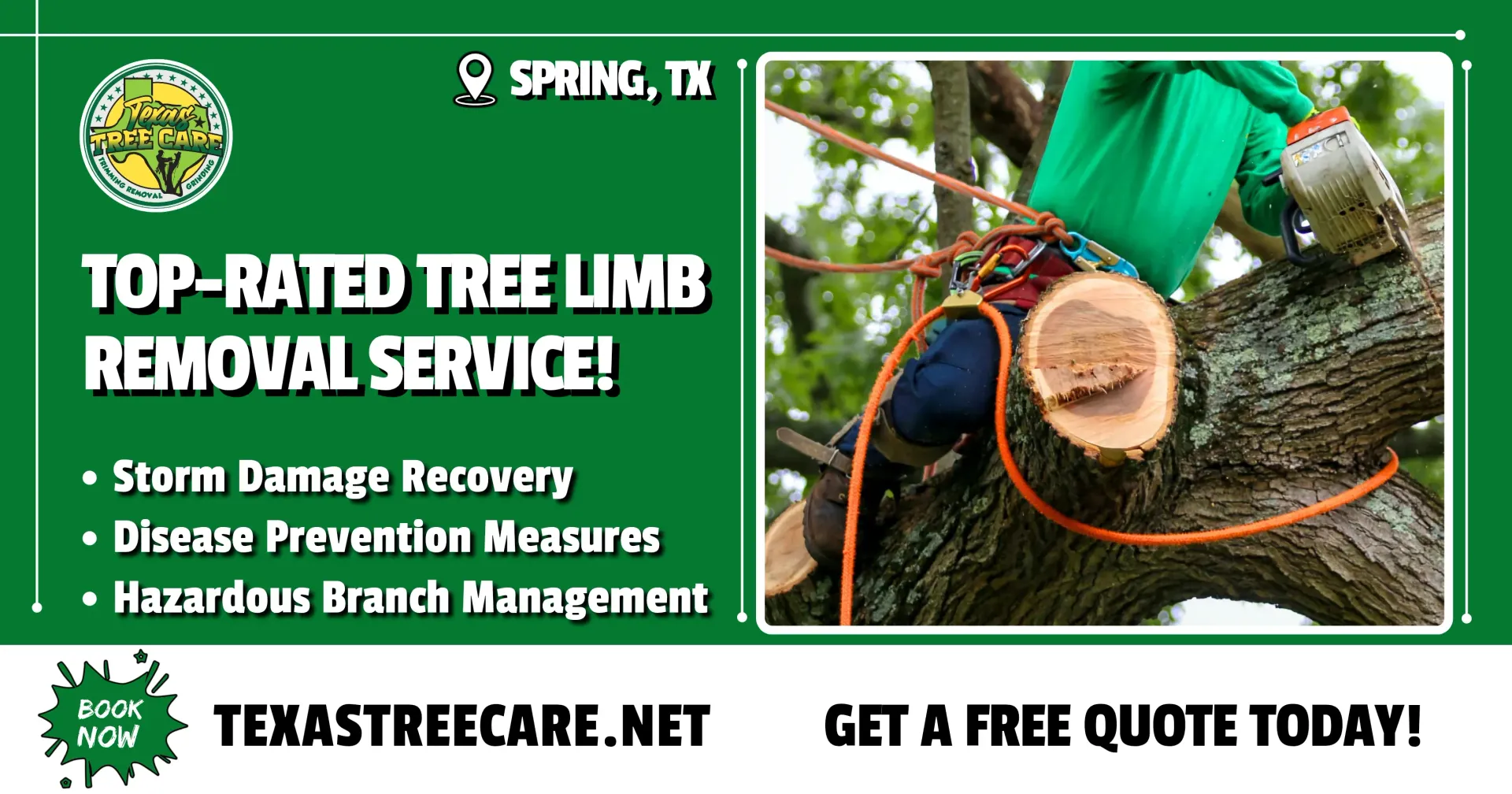 Tree Limb Removal - Spring Tree Service | Texas Tree Care