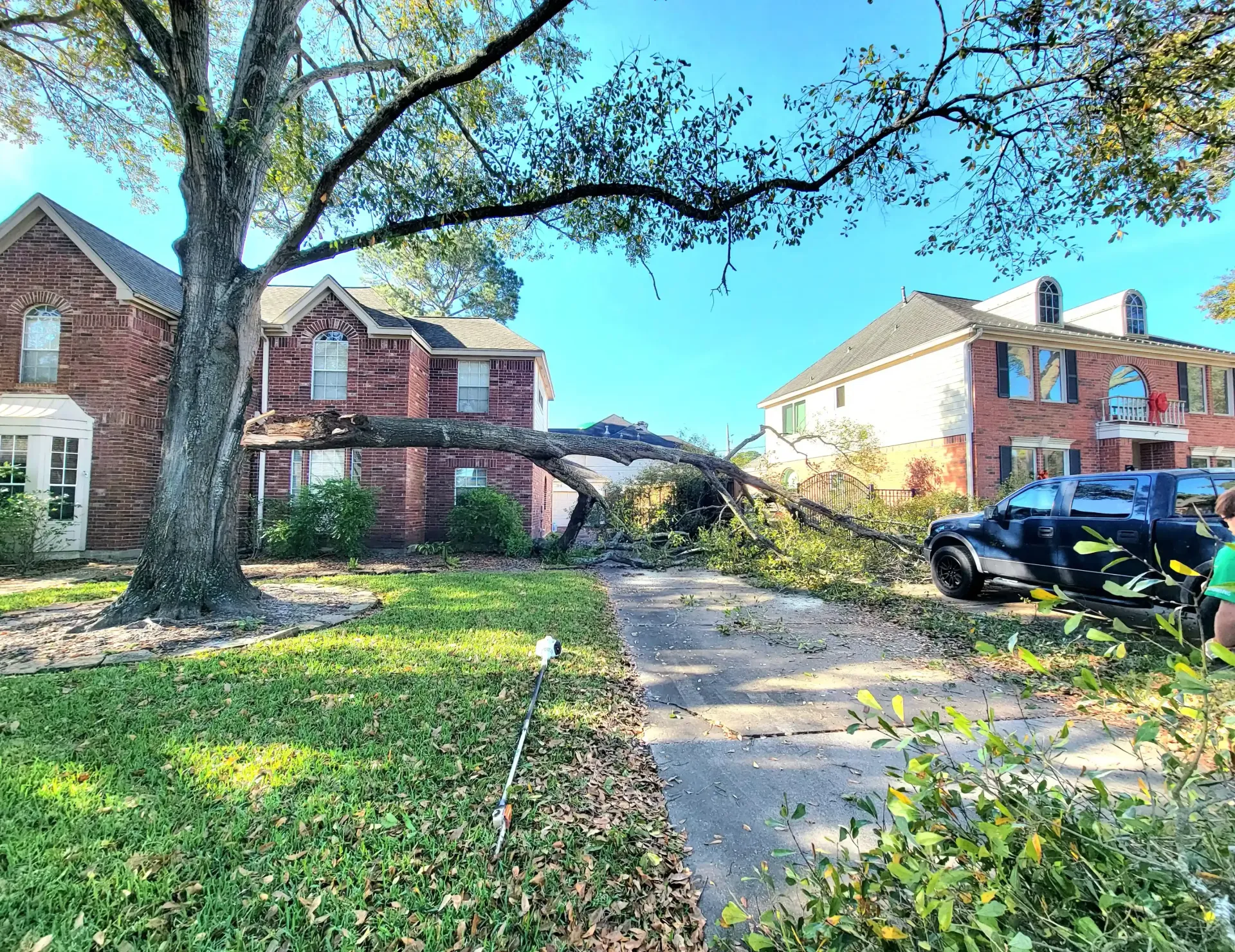 Fallen Tree Limb Removal - Spring Tree Service