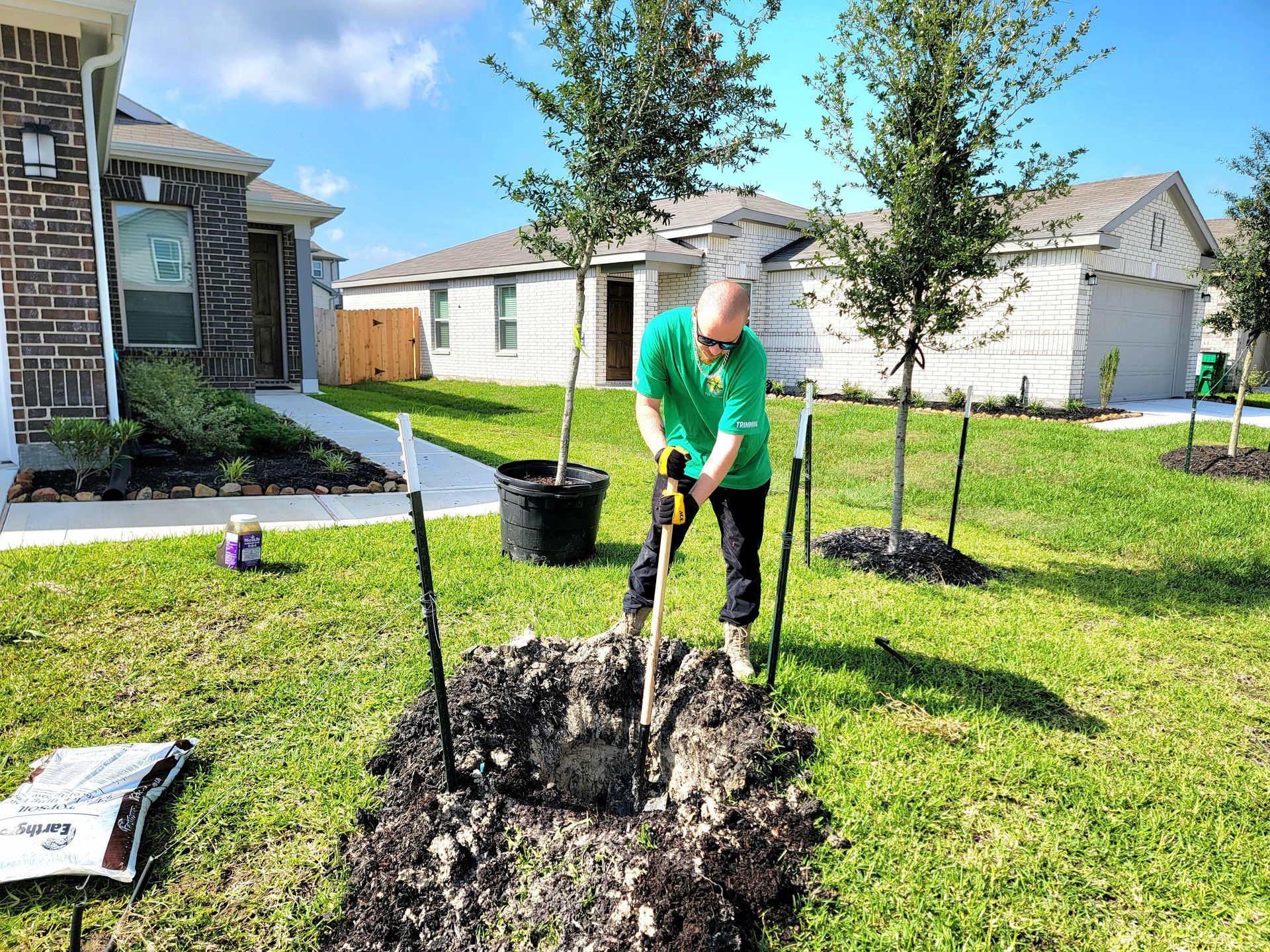 How Do You Remove a Small Tree? Texas Tree Care